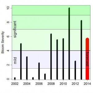 algae_bloom chart