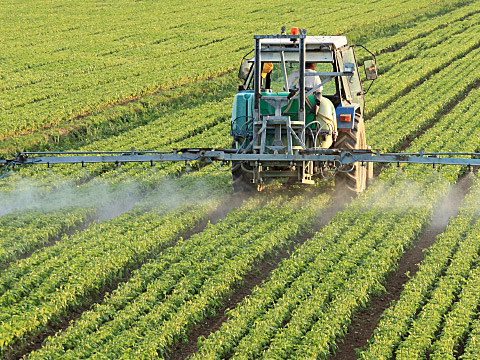 nitrates fertilizer contaminated water